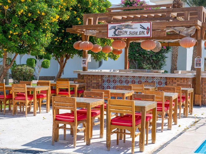 Hôtel Jaz Royal Palmariva 5* Makadi pas cher photo 5