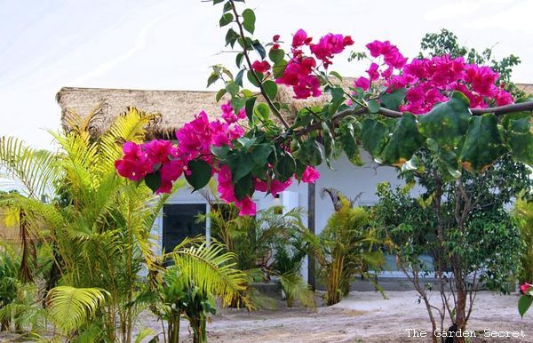 Combiné Phnom Penh / Koh Rong - Anik Palace 4* & The Secret Garden 4* - (Flex) pas cher photo 11