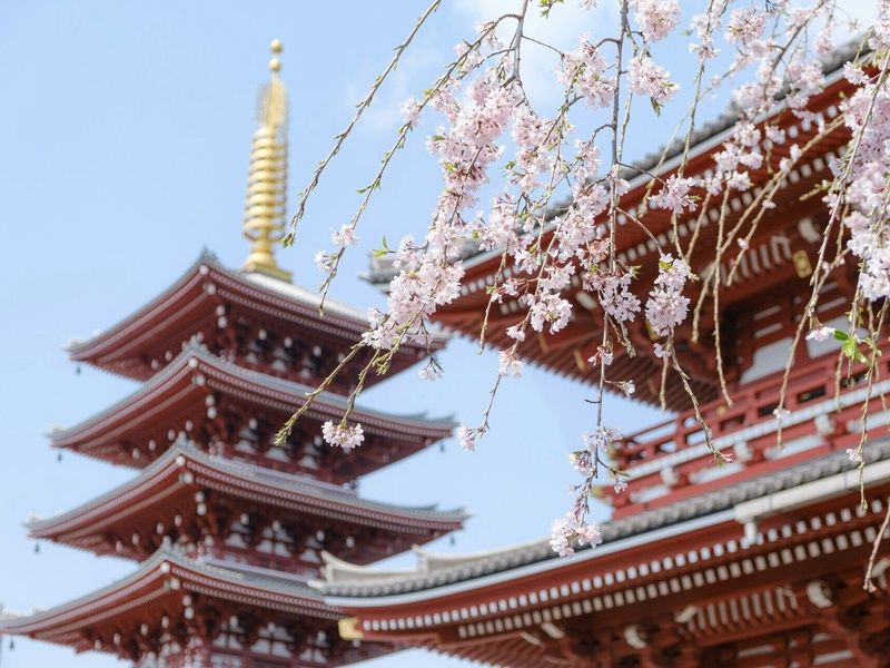 Combiné Séoul Tokyo avec activités incluses en 3* ou 4* pas cher photo 11