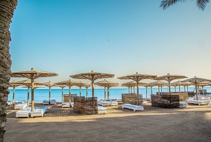 Hôtel Palm Beach Resort 4* pas cher photo 3