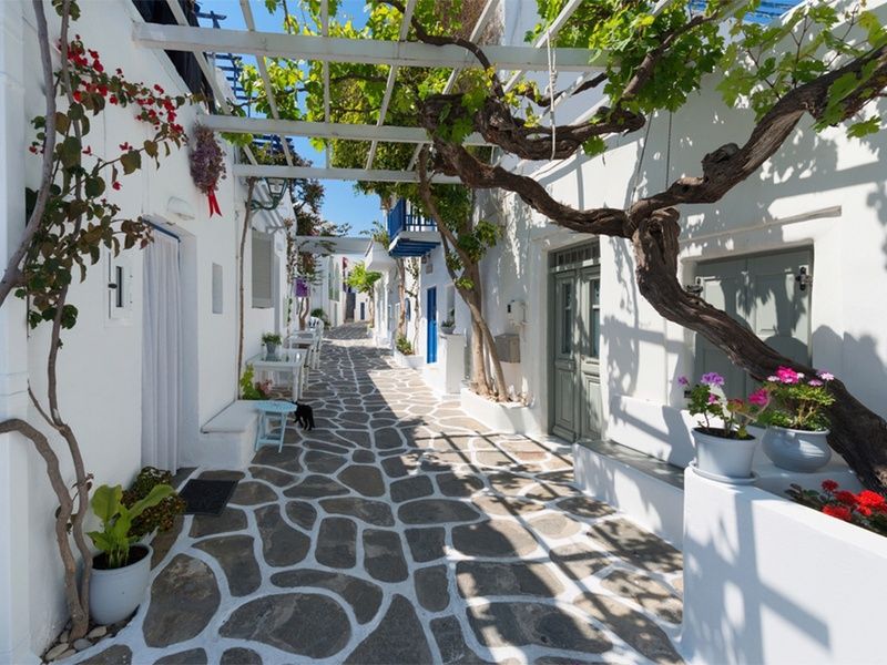 Combiné Athènes, île de Paros et île de Santorin pas cher photo 6