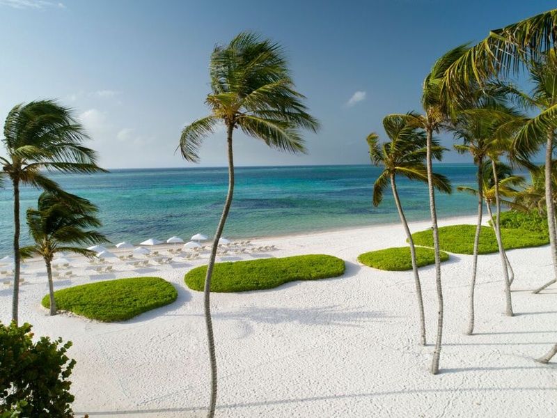 Hotel The Westin Punta Cana 4* pas cher photo 2