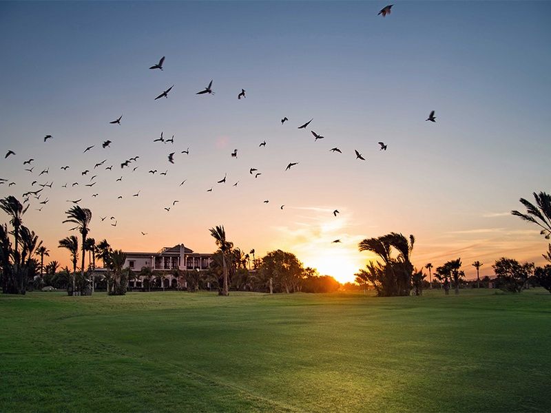 Ôclub Pickalbatros Hôtel Du Golf 5* Adult only pas cher photo 4