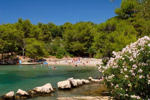 Hôtel Arkada Sunny Hotel 3* by Valamar pas cher photo 14