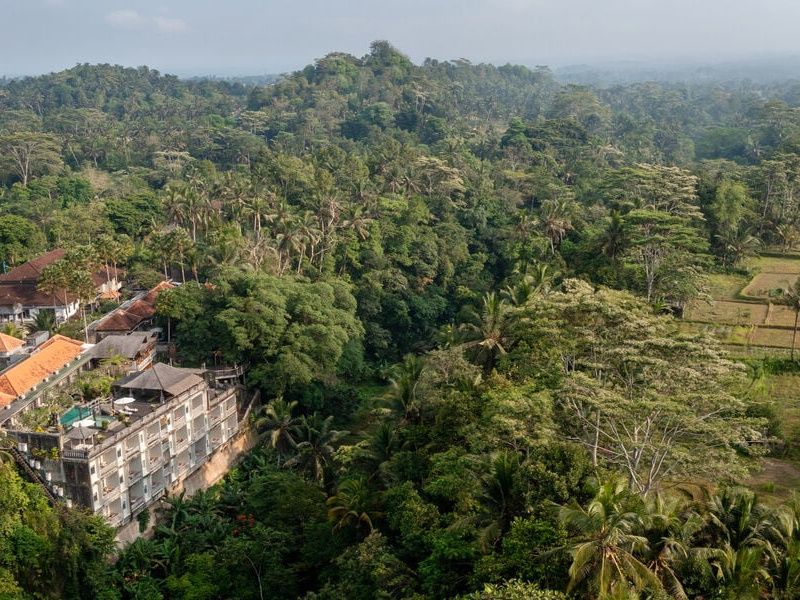 Hotel Kawi Resort Ubud 4* pas cher photo 14
