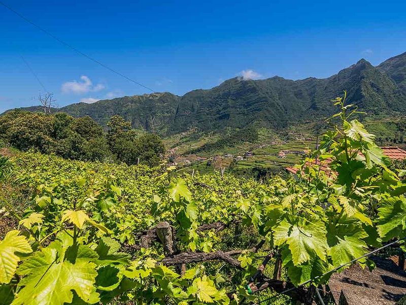 Réveillon à Madère avec soirée du Nouvel An à l'hôtel pas cher photo 16