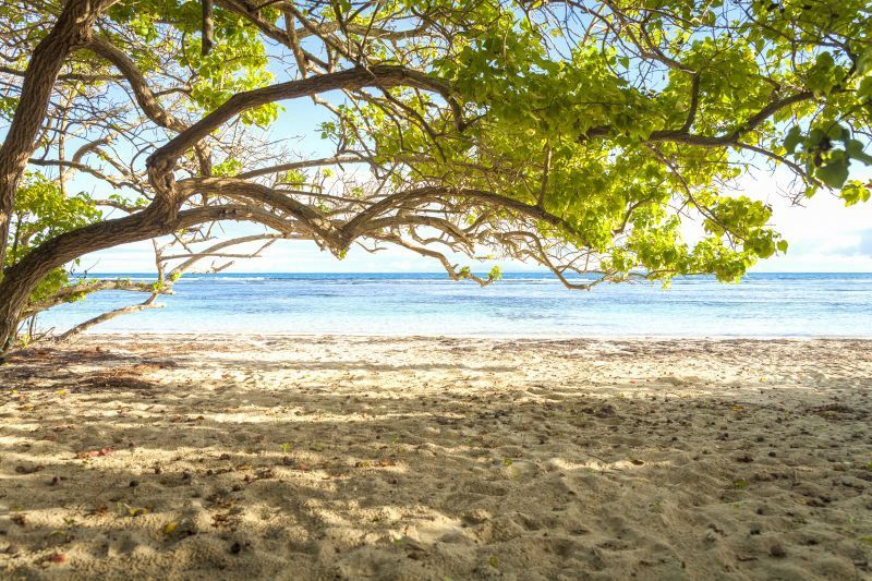 Le Relais du Moulin 4* Adult Only - avec Location de voiture pas cher photo 12