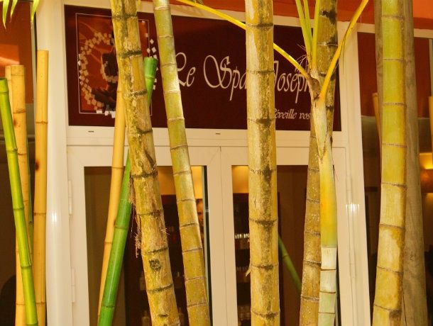 Hôtel Carayou hôtel & SPA 3* pas cher photo 15