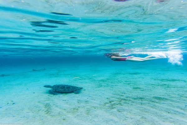 Village Vacances Pierre & Vacances Sainte-Luce 3* pas cher photo 3