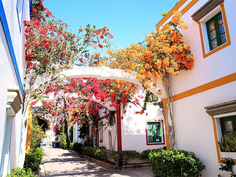 Hôtel LIVVO Fataga 4* by Ôvoyages pas cher photo 8