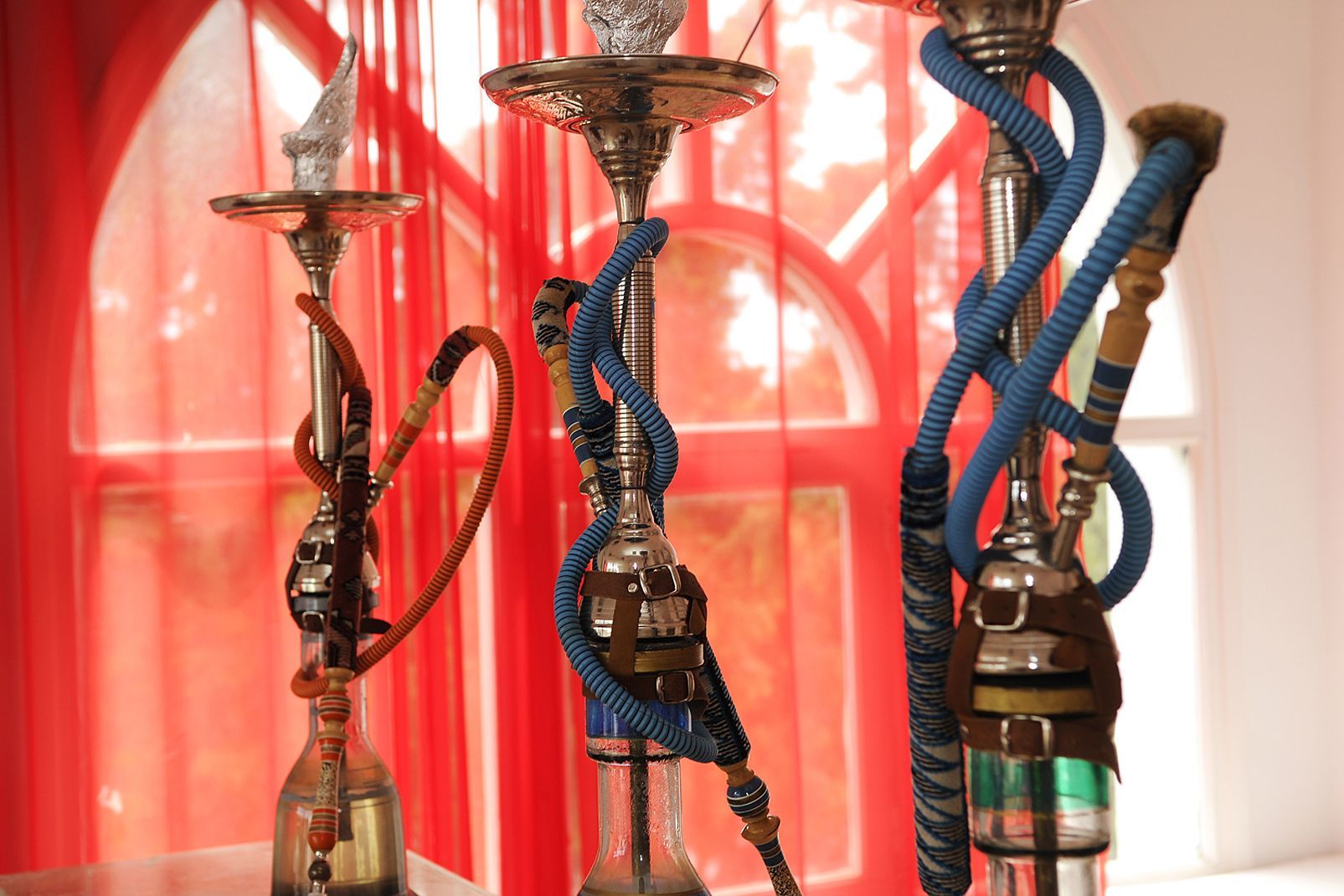 Hôtel Menara Hammamet 4* pas cher photo 30