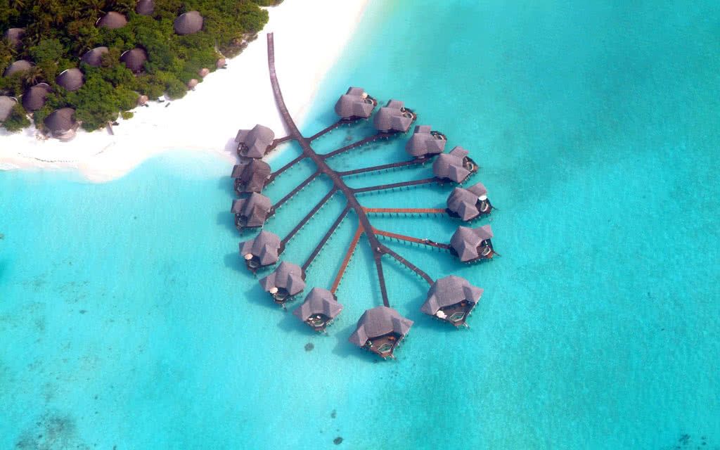 Hôtel Coco Palm Dhuni Kolhu 4* pas cher photo 2
