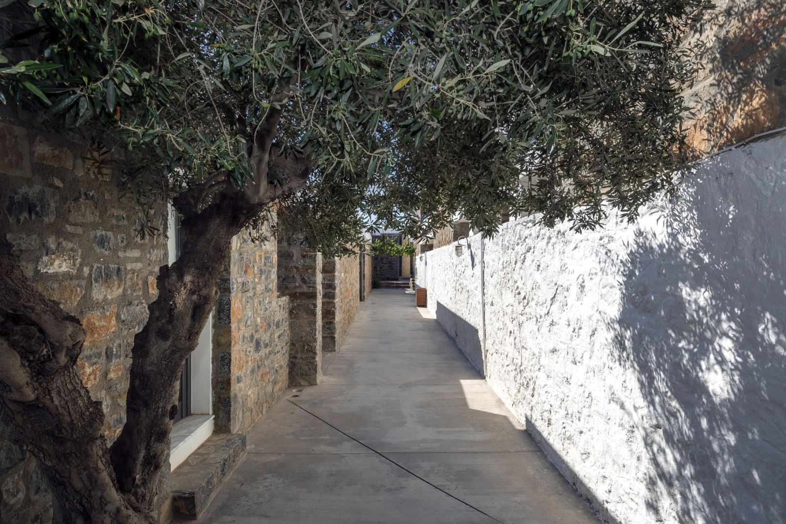 Club Marmara Ariadne 5* pas cher photo 19