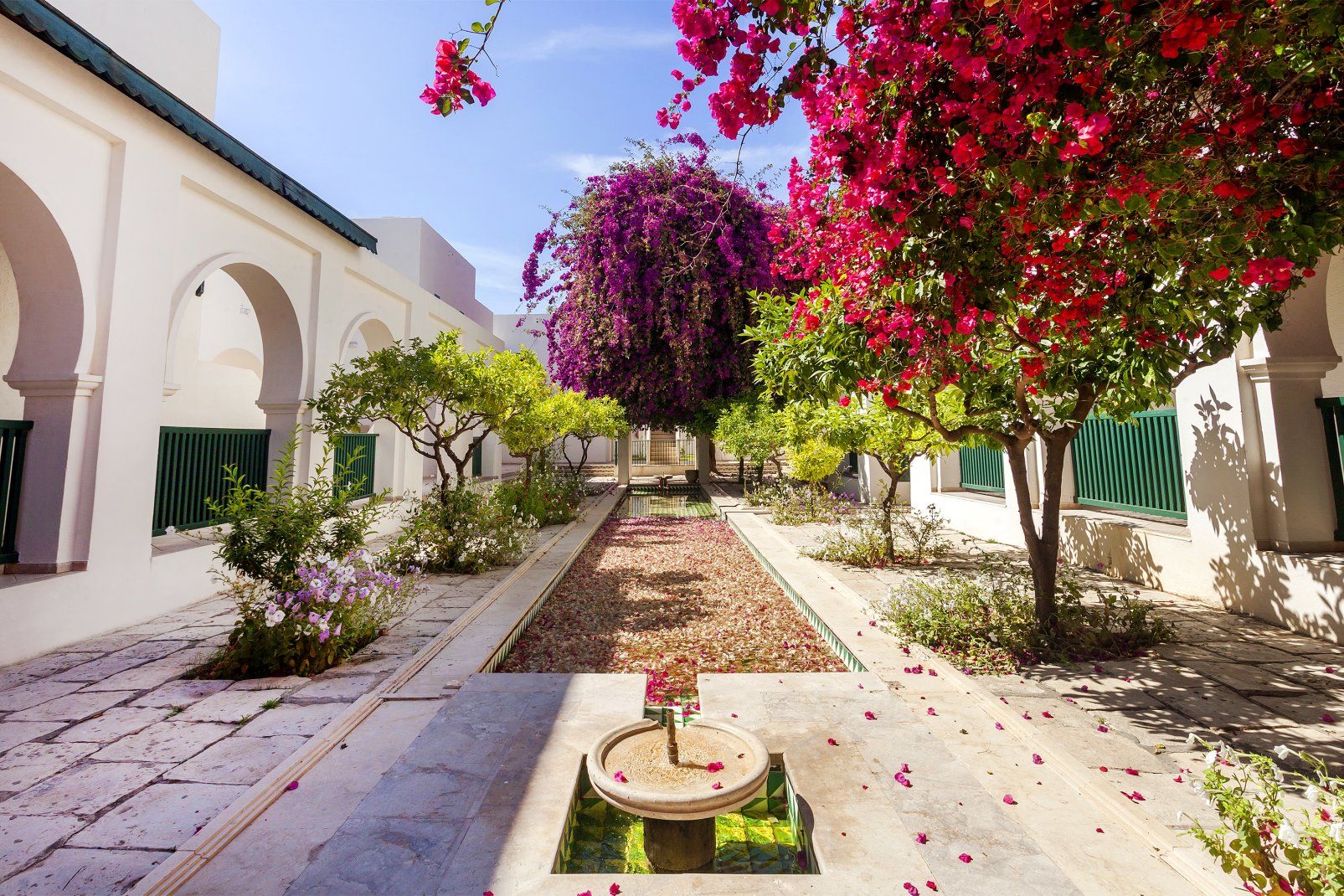 Hôtel Seabel Alhambra Beach Golf & Spa 4* pas cher photo 9