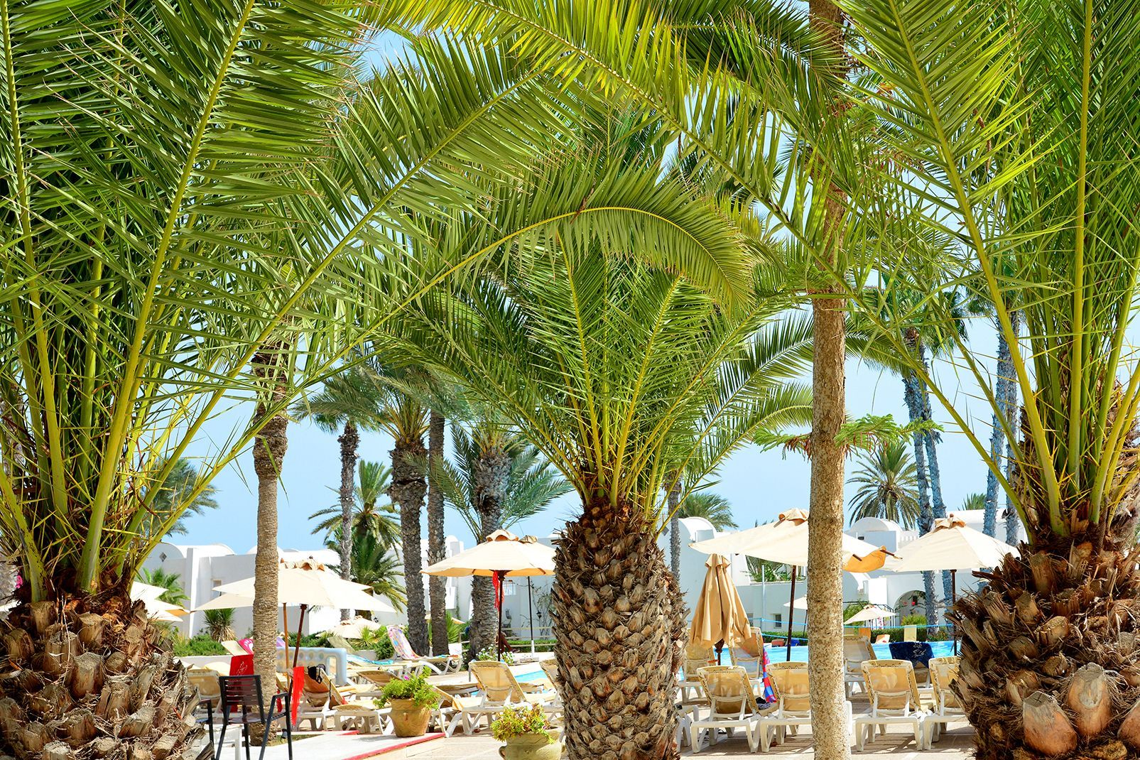 Hôtel Mondi Club Seabel Aladin 3*Sup Djerba Long séjour pas cher photo 24