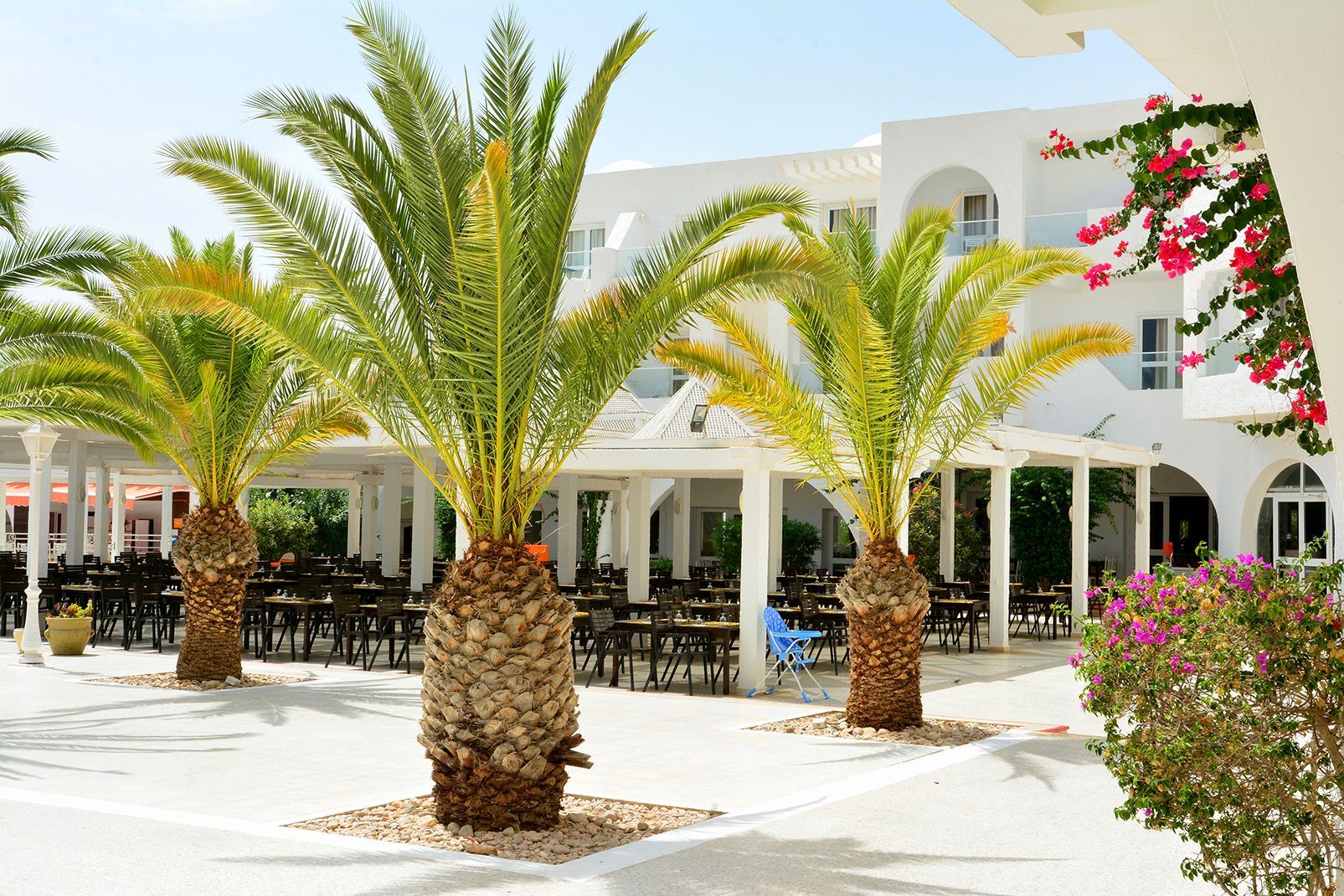 Hôtel Mondi Club Seabel Aladin 3*Sup Djerba Long séjour pas cher photo 30