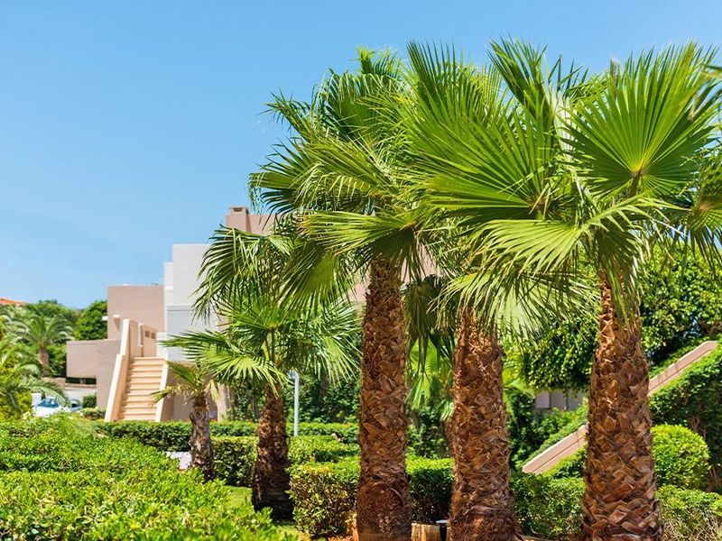 Ôclub Experience Grand Hotel Holiday Resort 4* pas cher photo 12