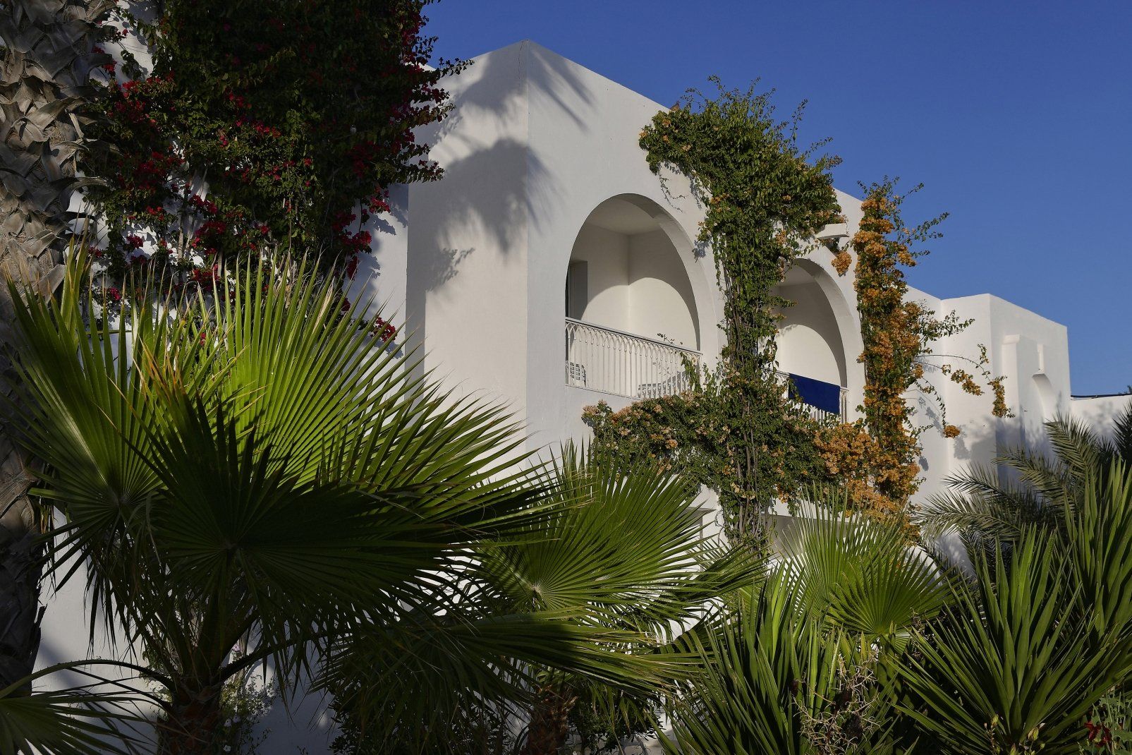Hôtel Seabel Rym Beach Djerba 4* pas cher photo 25