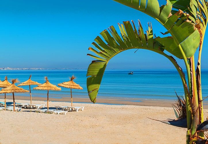 Hôtel Iberostar Kuriat Palace 5* pas cher photo 7