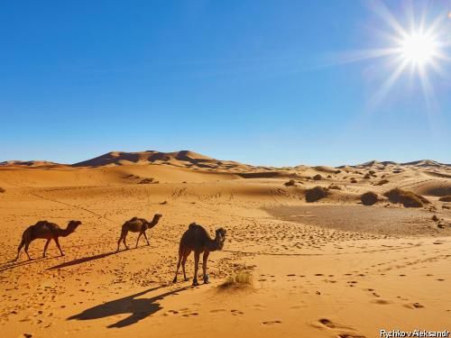 Club Jumbo Baya Beach Quatre Saisons by Medina 3* pas cher photo 13