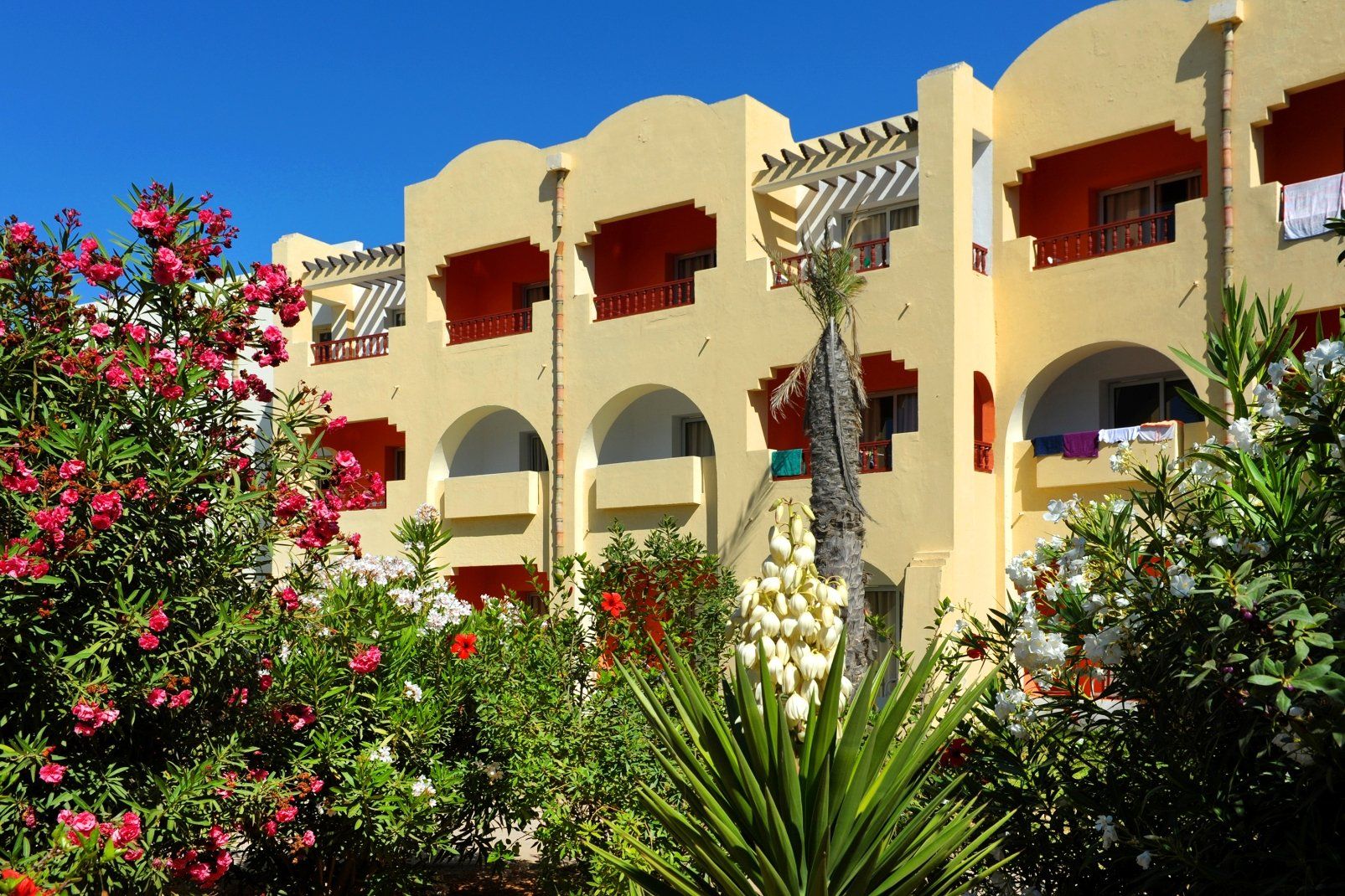 Hôtel Baya Beach Aqua Park Resort & Thalasso - 3* pas cher photo 17