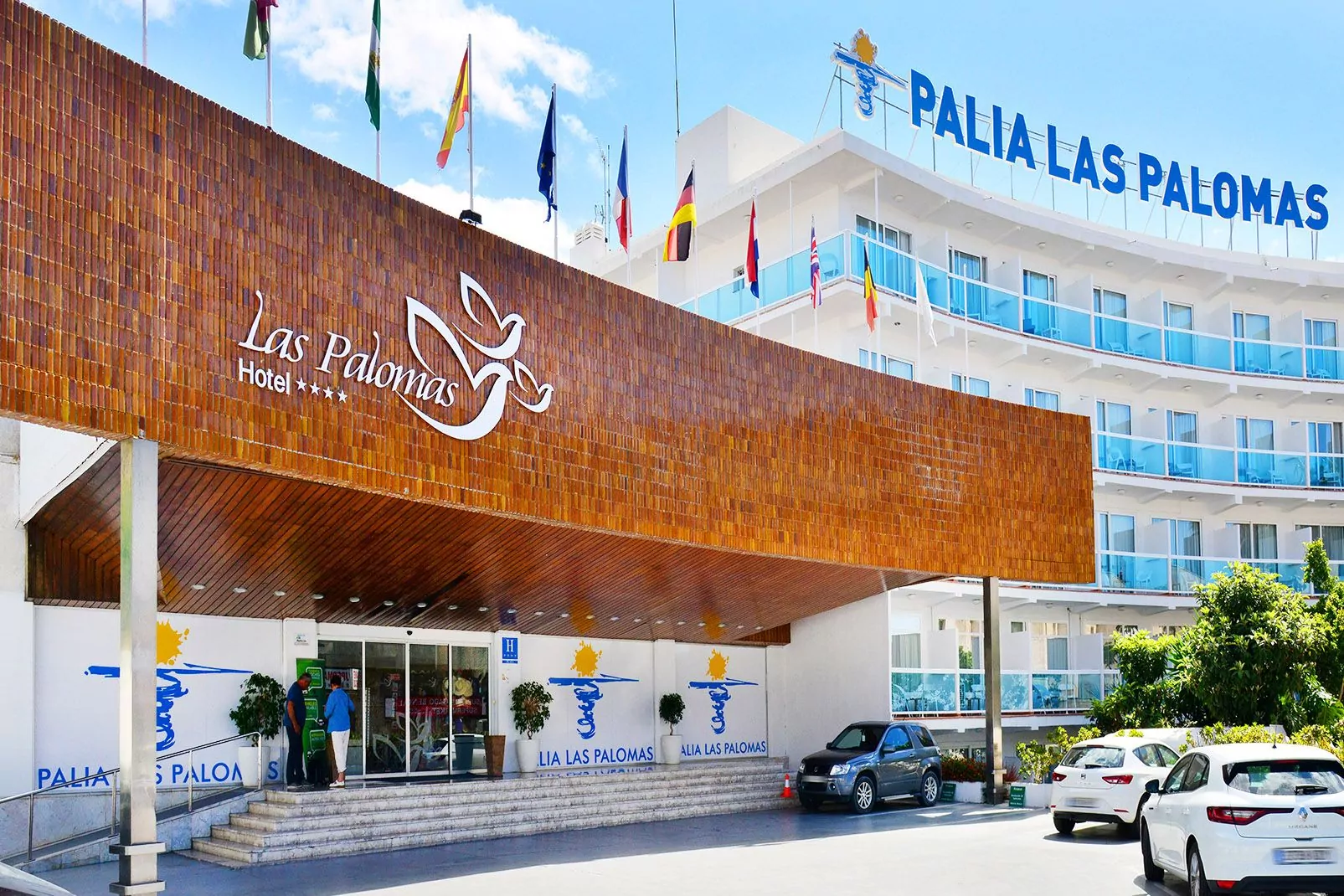 Las palomas. ДВФУ ВЭФ. Mohammed bin Zayed University. Мию университет. Zayed University