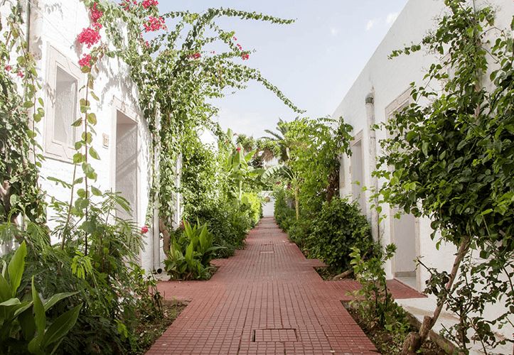 Le Hammamet Hotel & spa 4* pas cher photo 10