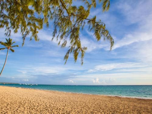 Club Jumbo Vista Sol Punta Cana Beach Resort & Spa 4* pas cher photo 45