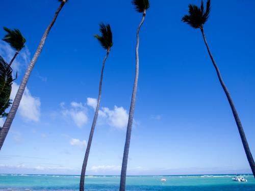 Club Jumbo Vista Sol Punta Cana Beach Resort & Spa 4* pas cher photo 47