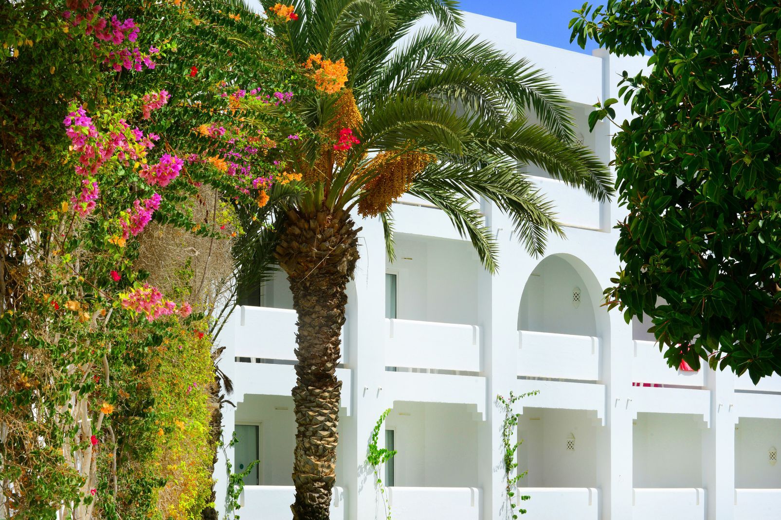 Hôtel Djerba Plaza Thalasso and Spa 4* pas cher photo 22