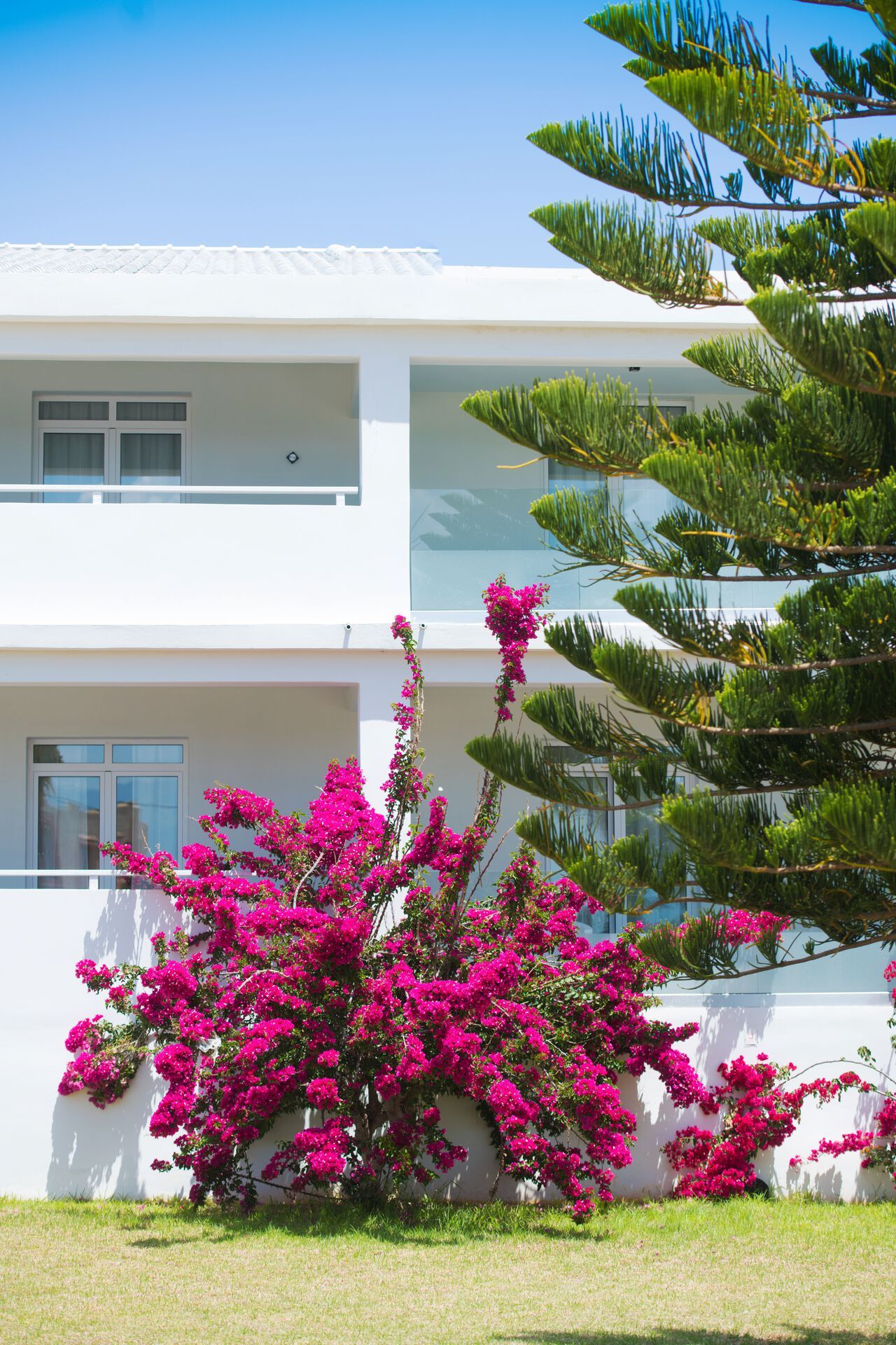 Hôtel Mr & Mrs White Crete Resort and Spa 5* pas cher photo 5