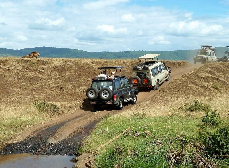 Hôtel Bamburi Beach Hôtel 3* et Safari 3 nuits pas cher photo 24