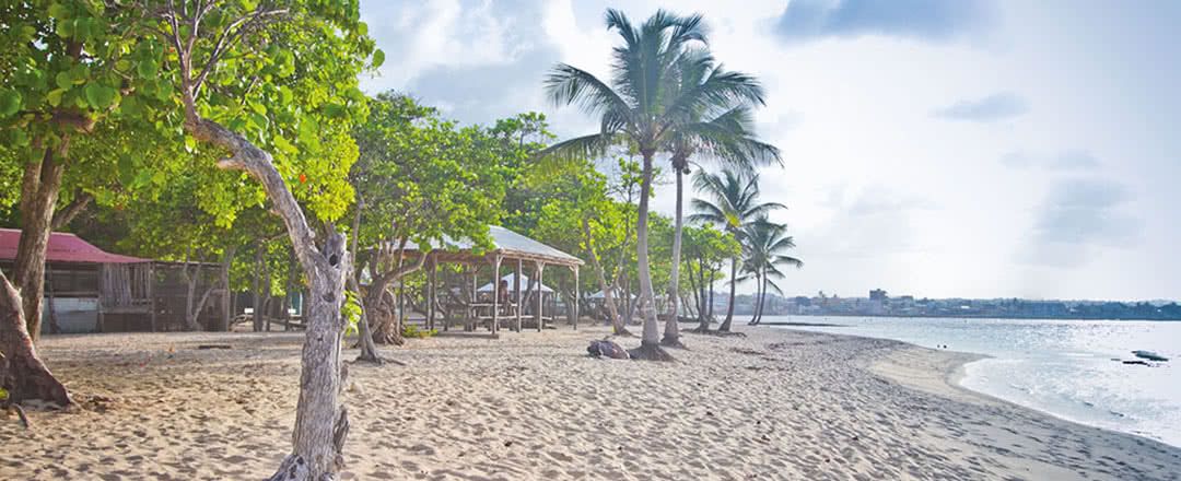 Résidence Tropicale - Location de voiture incluse pas cher photo 11