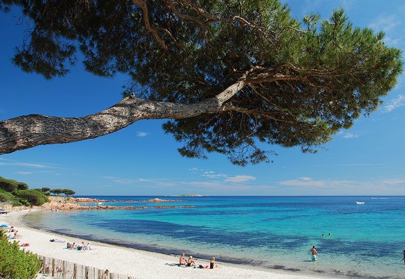 Camping Le Sagone 4* avec traversées maritimes pas cher photo 11