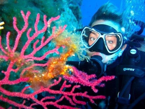 Camping Le Sagone 4* avec traversées maritimes pas cher photo 14