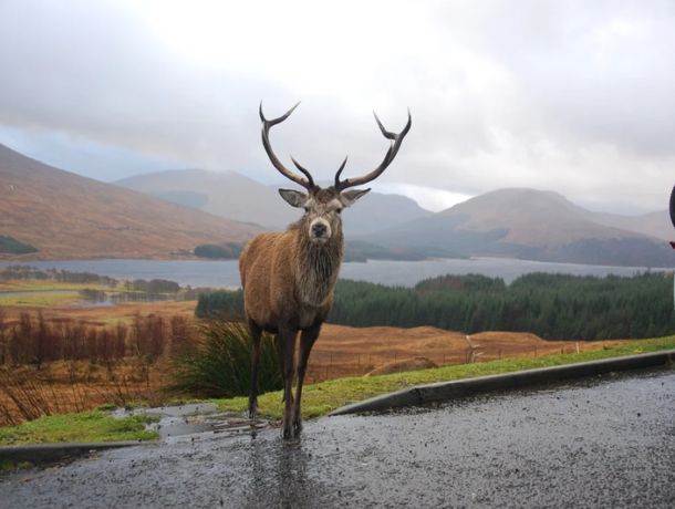 Autotour sur les pas de l'Apprenti sorcier pas cher