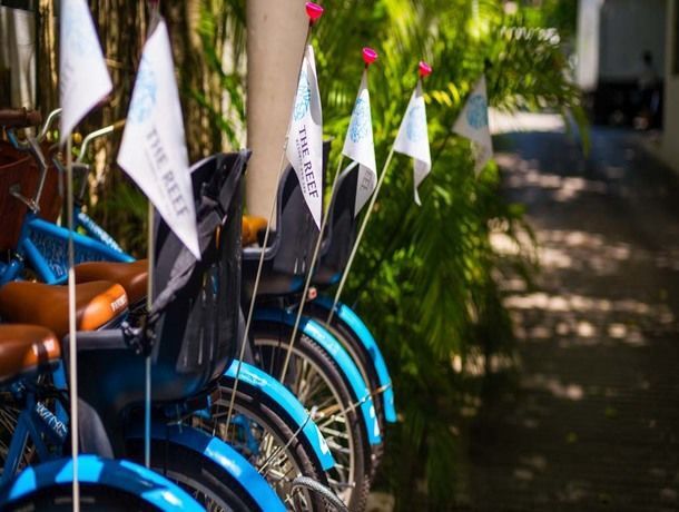 Hôtel The Reef Coco Beach 3* pas cher photo 22