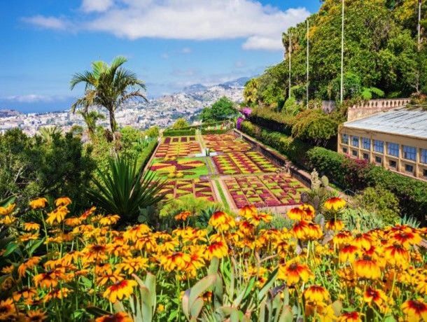 Hôtel Funchal Design 4* pas cher photo 11