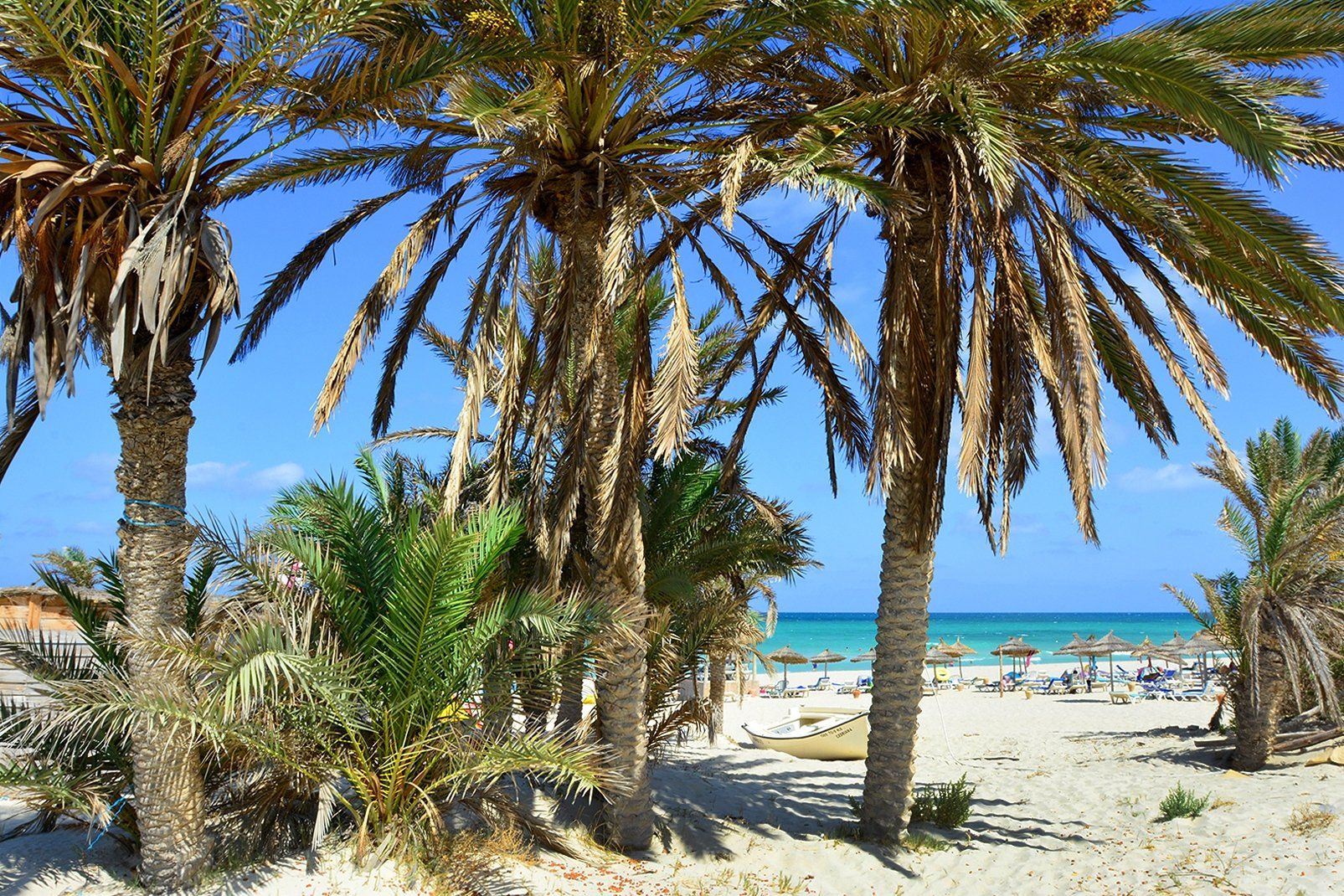 Caribbean World Thalasso Djerba 4* pas cher photo 26