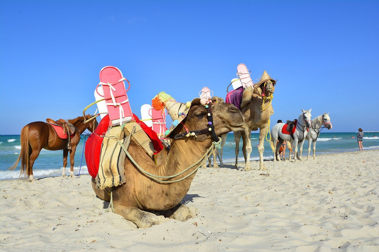 Caribbean World Thalasso Djerba 4* pas cher photo 29
