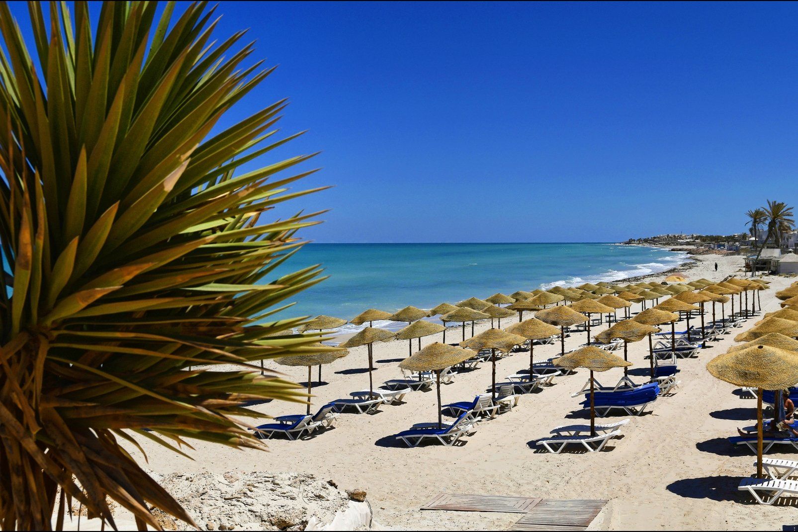 Hôtel Sensimar Ulysse Palace Thalasso Djerba 5* pas cher photo 25