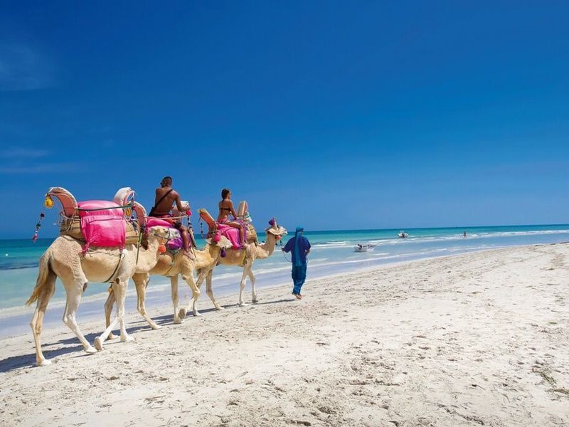 Naya Club Djerba 4*sup pas cher photo 12