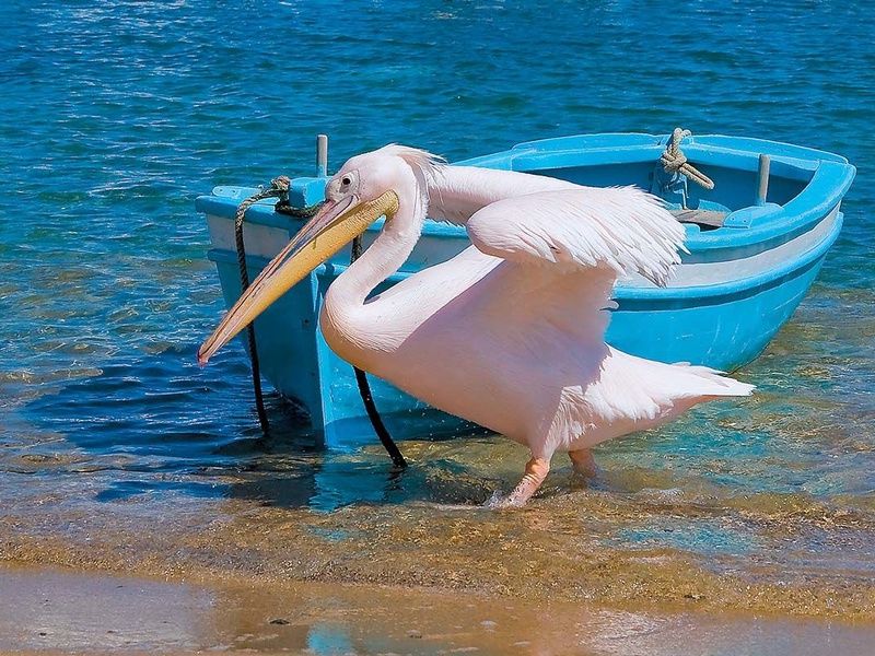 Combiné dans les Cyclades depuis Athènes - Santorin, Paros & Mykonos en 3* pas cher photo 2