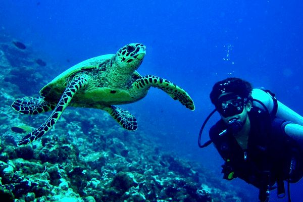 Hôtel The Barefoot Eco Hotel Maldives 4* pas cher photo 18