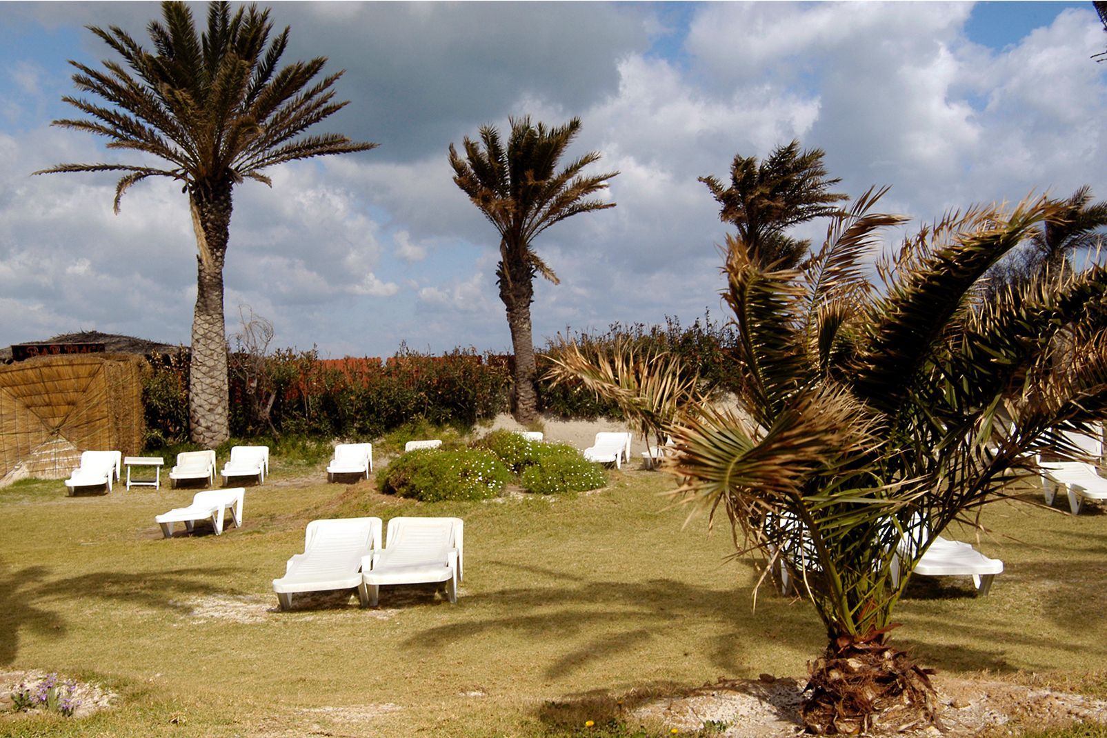 Hôtel Royal Thalassa Monastir 5* pas cher photo 39