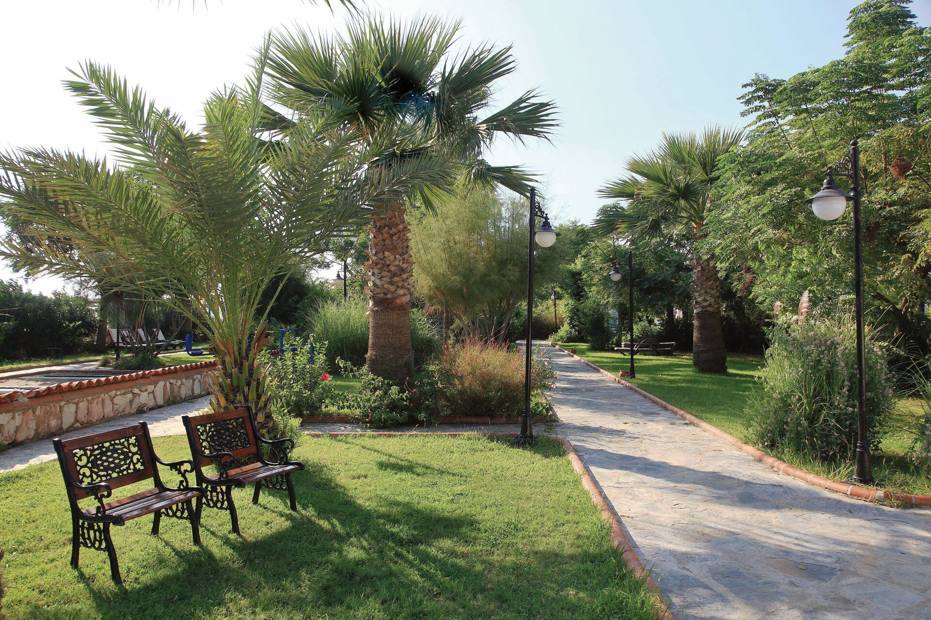 Hôtel Club Cactus Paradise 4* pas cher photo 12