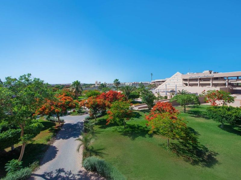 Hôtel Pharaoh Azur Grand Resort 4* pas cher photo 29