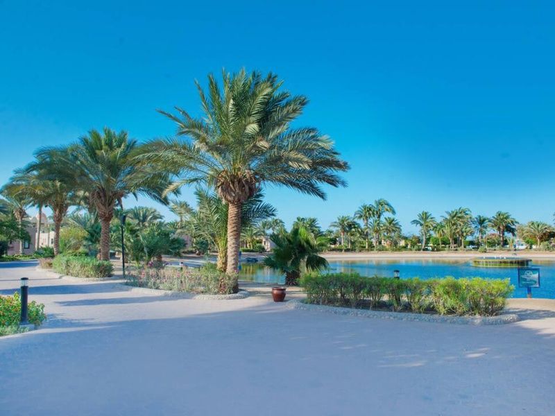 Hôtel Pharaoh Azur Grand Resort 4* pas cher photo 30