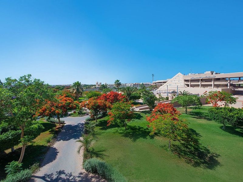 Hôtel Pharaoh Azur Grand Resort 4* pas cher photo 33