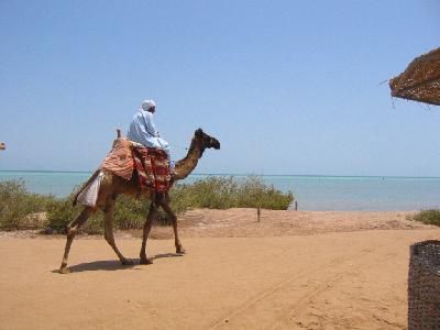 Hôtel Utopia Beach Club 4* pas cher photo 9